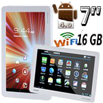 Paladin 7"Multi-touch Android 4.0 Tablet PC+MicroSD 16 GB